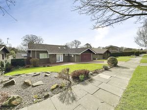 Photo 12- click for photo gallery